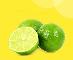 Freshness Harvested Daily for You